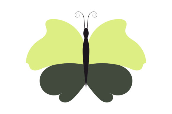 Download Butterfly Tropical Pretty Design - Premium Bundle